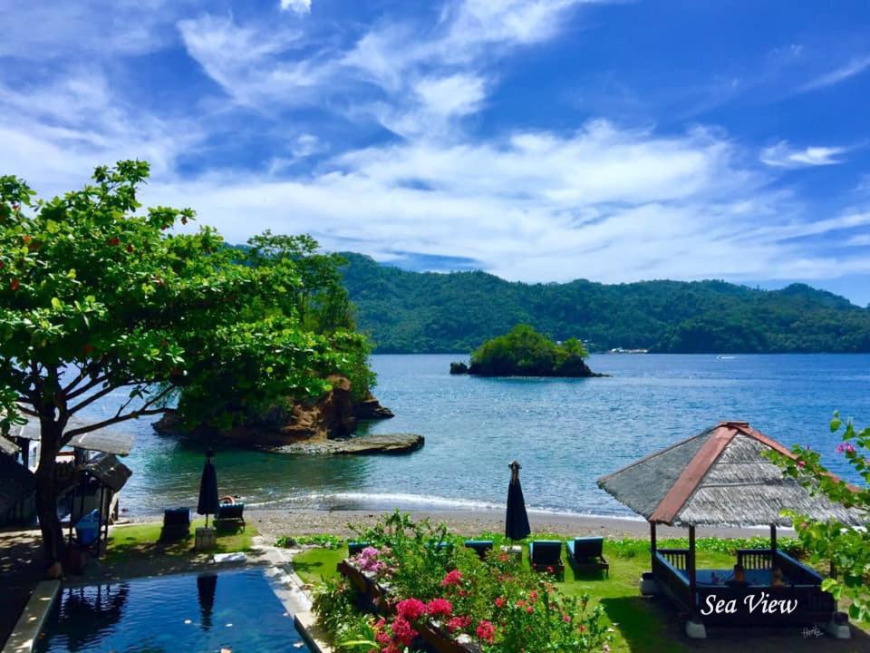 Cocotinos Lembeh A Boutique Dive Lodge Bitung Exteriér fotografie